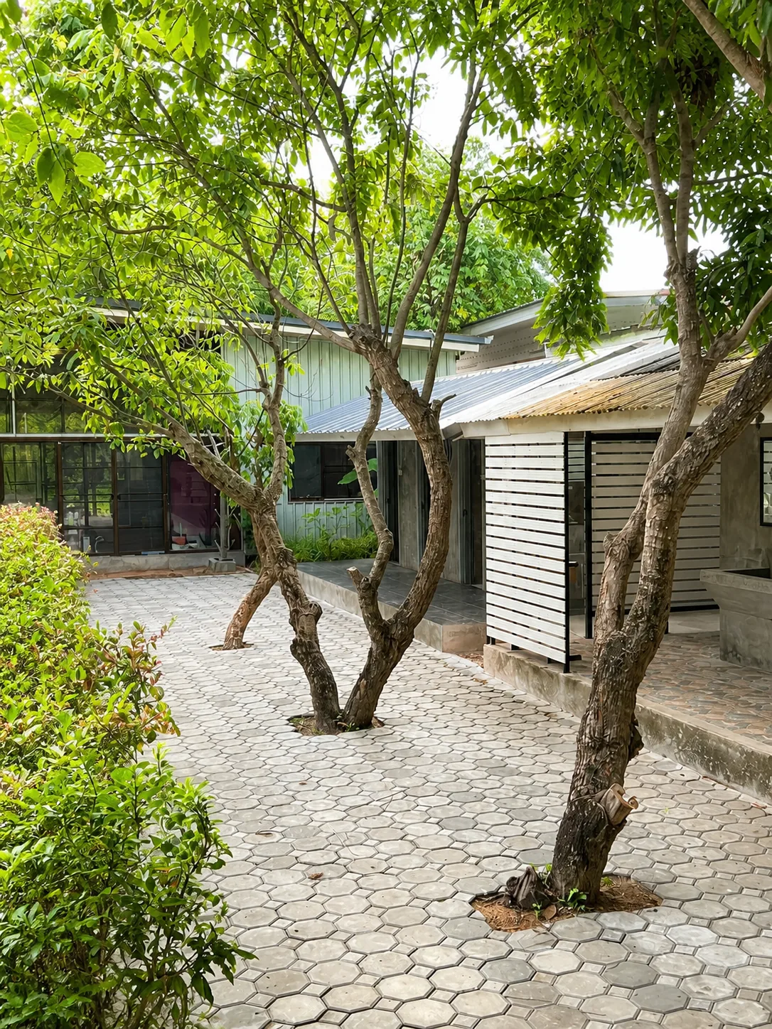 Shaded courtyard at the Hang Dong Chiang Mai course venue